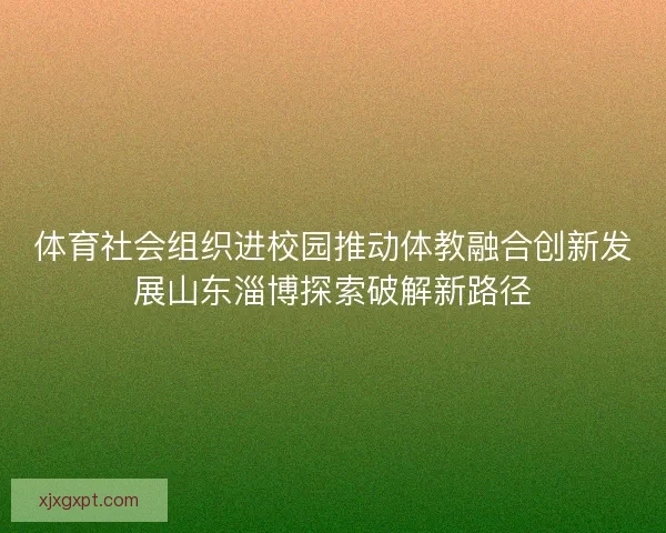 体育社会组织进校园推动体教融合创新发展山东淄博探索破解新路径