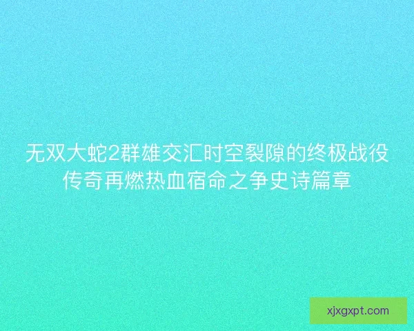 无双大蛇2群雄交汇时空裂隙的终极战役传奇再燃热血宿命之争史诗篇章