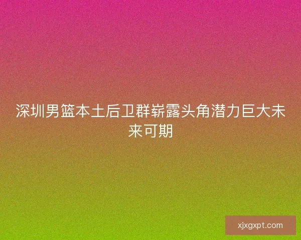 深圳男篮本土后卫群崭露头角潜力巨大未来可期